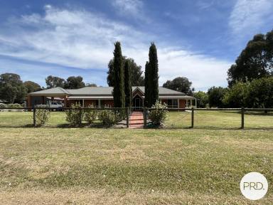 House For Lease - NSW - North Albury - 2640 - UNIQUE PROPERTY!  (Image 2)