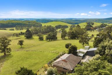 Lifestyle For Sale - VIC - Crossover - 3821 - Peaceful Country Living 19 acres/7.76Ha  (Image 2)