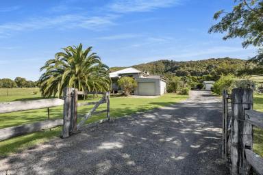 House Sold - NSW - Shoalhaven Heads - 2535 - Coastal Country Home on 5.18 acres  (Image 2)
