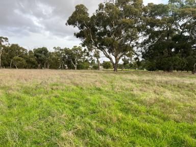 Residential Block Sold - SA - Naracoorte - 5271 - Aspect, position and opportunity  (Image 2)