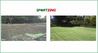 Business For Sale - VIC - Melbourne - 3000 - SPORTZING - TENNIS COURT MAINTENANCE  (Image 2)