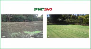Business For Sale - VIC - Melbourne - 3000 - SPORTZING - TENNIS COURT MAINTENANCE (Image 2)