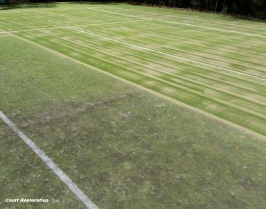 Business For Sale - VIC - Melbourne - 3000 - SPORTZING - TENNIS COURT MAINTENANCE (Image 2)