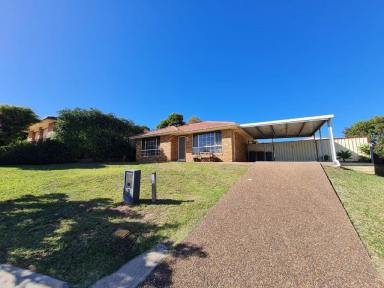 House Sold - nsw - Muswellbrook - 2333 - Well Maintained Home in a Quiet Street  (Image 2)