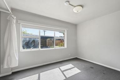 Unit For Lease - TAS - Moonah - 7009 - Comfortable Bedsit Apartment  (Image 2)