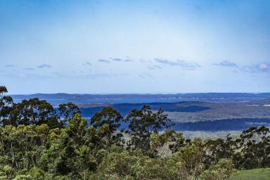 Other (Rural) Sold - NSW - Allworth - 2425 - SPECTACULAR VIEWS TO THE COAST AND MOUNTAINS  (Image 2)