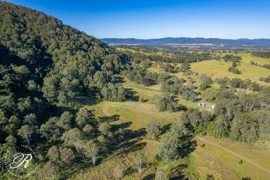 Other (Rural) Sold - NSW - Gloucester - 2422 - Eagles Nest Hideaway  (Image 2)