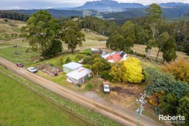 Lifestyle Sold - TAS - Wilmot - 7310 - 39 acres, 3 dams, horse arena and terrific home  (Image 2)