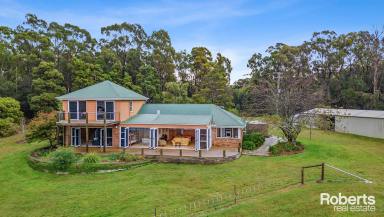 House For Sale - TAS - Clarence Point - 7270 - CAPTIVATING WATERFRONT ACREAGE  (Image 2)
