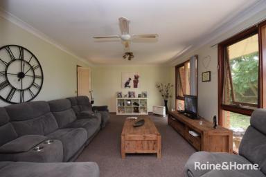 House Leased - NSW - North Nowra - 2541 - 3 Bedroom Property with Double Shed in North Nowra  (Image 2)
