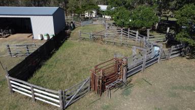 Livestock For Sale - NSW - Piora - 2470 - Prime grazing opportunity with potential  (Image 2)