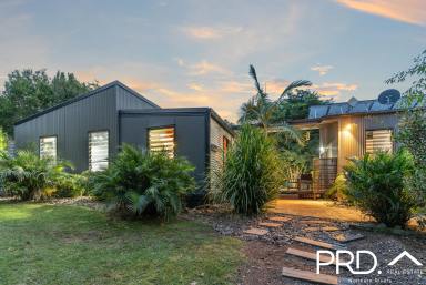 Lifestyle Sold - NSW - Kyogle - 2474 - Pavilion-style home | 12 acres |  Running creek  (Image 2)