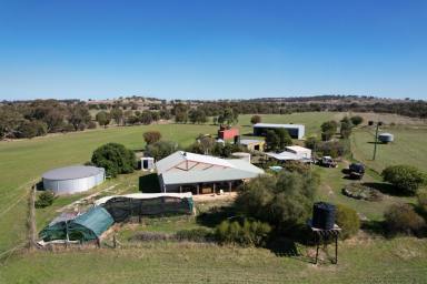 Other (Rural) Sold - WA - Dale - 6304 - For Sale by Auction: Meadow Haven a Tranquil Rural Retreat in The Dale     16.88ha  (Image 2)