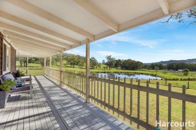 Acreage/Semi-rural Sold - NSW - Hilldale - 2420 - Live The Country Lifestyle on this Picturesque Rural Property  (Image 2)