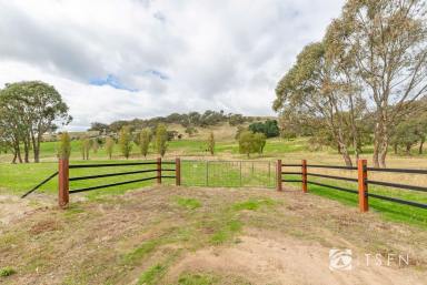 Residential Block Sold - VIC - Sedgwick - 3551 - Experience Rural Tranquility: Your Dream Lifestyle Awaits in Sedgwick  (Image 2)