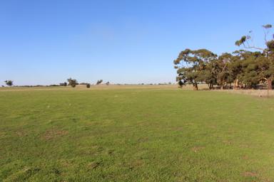 Mixed Farming For Sale - SA - Bordertown - 5268 - NEW RELEASE - Productive Lifestyle Property with Appeal  (Image 2)