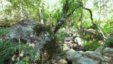 Lifestyle Sold - QLD - Conondale - 4552 - Private Lifestyle Hideaway  (Image 2)