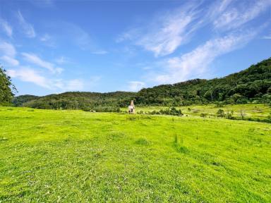 Lifestyle For Sale - NSW - Laguna - 2325 - Spectacular Rural Holding!  (Image 2)