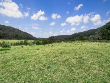 Lifestyle For Sale - NSW - Laguna - 2325 - Spectacular Rural Holding!  (Image 2)