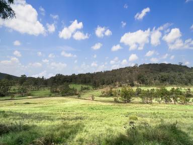 Lifestyle For Sale - NSW - Laguna - 2325 - Spectacular Rural Holding!  (Image 2)