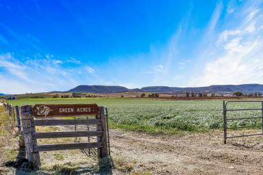 Cropping Sold - QLD - Freestone - 4370 - Picturesque "Green Acres"  (Image 2)