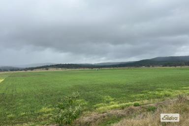 Cropping For Sale - QLD - Laidley South - 4341 - Prime Cultivation - Just over 80 Acres in the Mulgowie Valley  (Image 2)