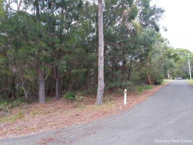 Residential Block Sold - QLD - Russell Island - 4184 - Great block available now  (Image 2)