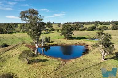Lifestyle Sold - VIC - Metung - 3904 - ‘The Back Paddock'  (Image 2)