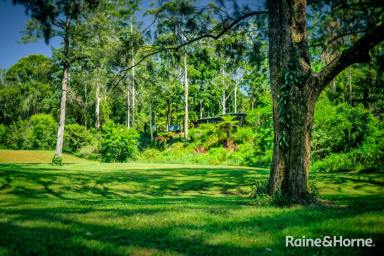 House Sold - NSW - Kalang - 2454 - "RIVER SONG"  (Image 2)