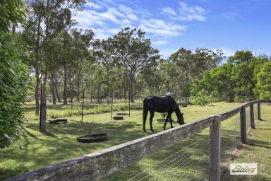 Acreage/Semi-rural Sold - QLD - Pacific Haven - 4659 - Uncover the Idyllic Charm of Country Living  (Image 2)