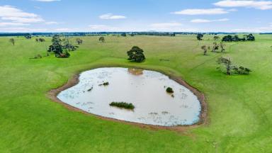 Livestock For Sale - VIC - Minhamite - 3287 - Blank canvas in sought after farm country  (Image 2)