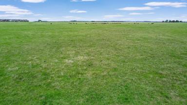 Livestock For Sale - VIC - Minhamite - 3287 - Blank canvas in sought after farm country  (Image 2)