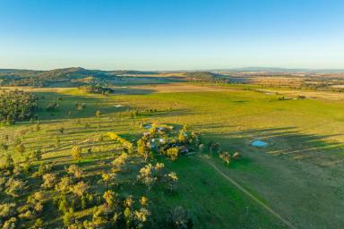 Lifestyle Sold - NSW - Canowindra - 2804 - GOLDEN OPPORTUNITY – GRAZING & HIGH QUALITY CROPPING COUNTRY  (Image 2)