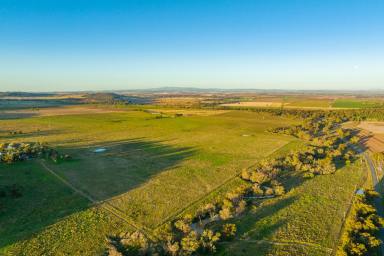 Lifestyle Sold - NSW - Canowindra - 2804 - GOLDEN OPPORTUNITY – GRAZING & HIGH QUALITY CROPPING COUNTRY  (Image 2)