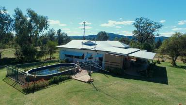 House For Sale - NSW - Bingara - 2404 - Acreage REDUCED Sell!  (Image 2)