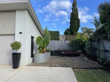 House Leased - QLD - Palmwoods - 4555 - Executive Home built in a quiet cul-de-sac in Popular Palmwoods. High Ceilings. Electric Gate. Manicured Gardens and Lawns. Solar Electricity.  (Image 2)
