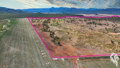 Mixed Farming For Sale - NSW - Narrabri - 2390 - 390 ACRES OF FARMING, GRAZING AND RECREATIONAL COUNTRY  (Image 2)