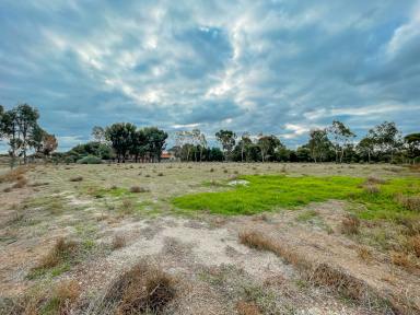Residential Block For Sale - VIC - Kerang - 3579 - Country Living  (Image 2)
