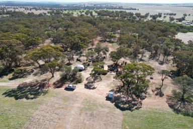 Cropping For Sale - WA - Beverley - 6304 - Perfect blend of Natural Bushland and Arable land                          53.21ha  (Image 2)