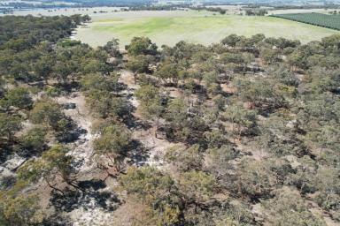 Cropping For Sale - WA - Beverley - 6304 - Perfect blend of Natural Bushland and Arable land                          53.21ha  (Image 2)