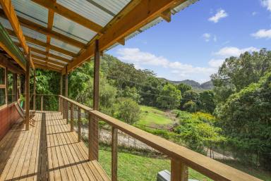 Lifestyle For Sale - NSW - Upper Main Arm - 2482 - Dry Creek Rustic Charm  (Image 2)
