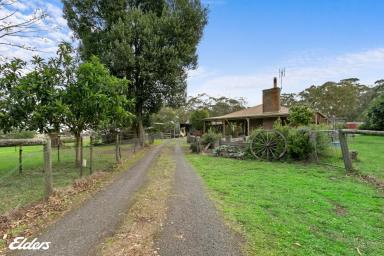 House Sold - VIC - Woodside - 3874 - PERFECT POSITION AT WOODSIDE  (Image 2)