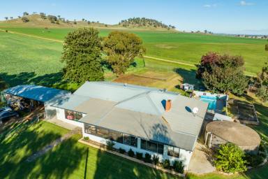 Mixed Farming For Sale - NSW - Canowindra - 2804 - 860AC* BLUE RIBBON FARMING & GRAZING PROPERTY  (Image 2)