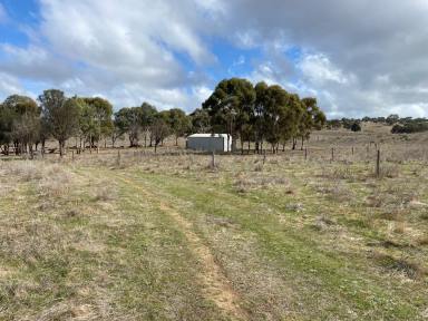 Residential Block Sold - SA - Tungkillo - 5236 - 31 Ha, productive country with shed and bore, well fenced. Wonderful views, peace and space. Build your country home (STCC) and enjoy!  (Image 2)