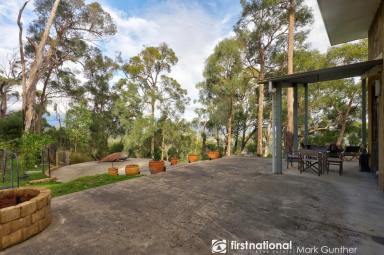 House Sold - VIC - Healesville - 3777 - Hidden Gem on 10 Acre Retreat  (Image 2)