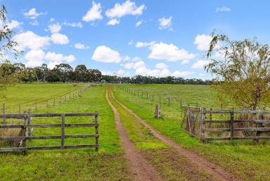 Dairy Sold - VIC - Heywood - 3304 - An attractive and productive semi-sustainable small farm situated 6km to Heywood  (Image 2)