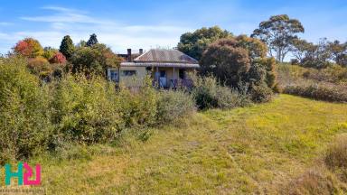 House Sold - NSW - Portland - 2847 - RUSTIC HOMESTEAD ON HUGE BUSH BLOCK  (Image 2)