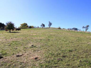 Residential Block For Sale - VIC - Benambra - 3900 - YOUR OWN PIECE OF THE HIGH COUNTRY.  (Image 2)