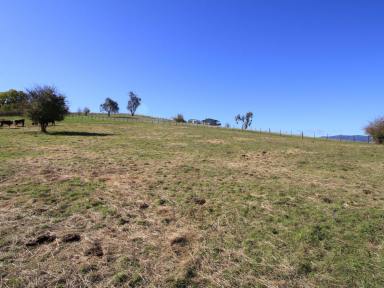 Residential Block For Sale - VIC - Benambra - 3900 - YOUR OWN PIECE OF THE HIGH COUNTRY.  (Image 2)