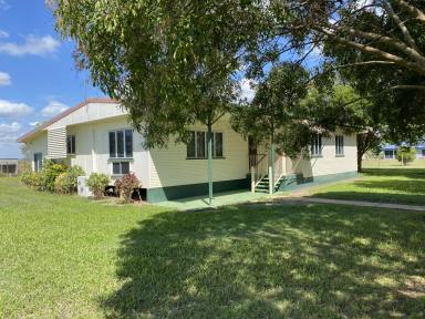 Other (Rural) Sold - QLD - Osborne - 4806 - 4 Bedroom House on Over 1/2 Acre - Osborne  (Image 2)